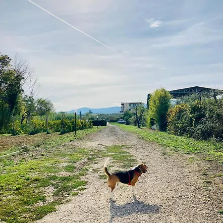 Bubù, Country-chic *