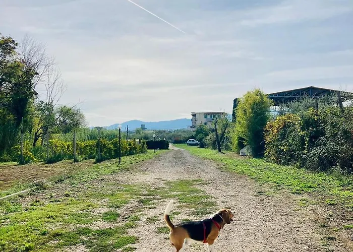 Bubu, Country-chic *