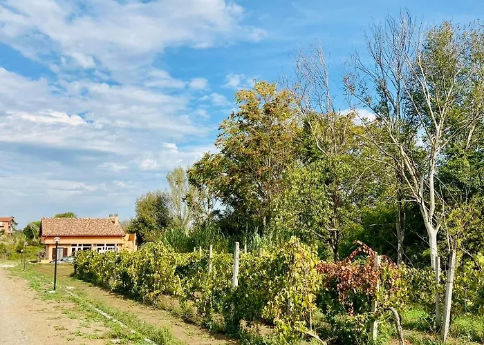 Bubu, Country-chic Rom