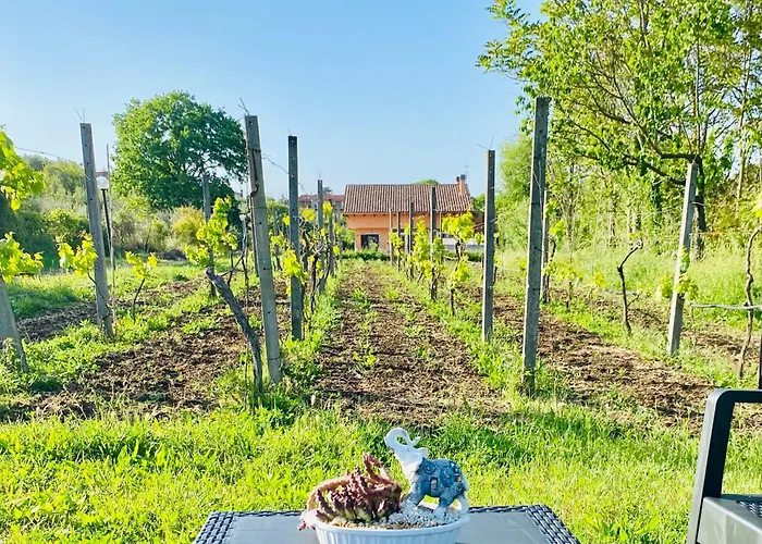 Semesterbostad Bubu, Country-chic *