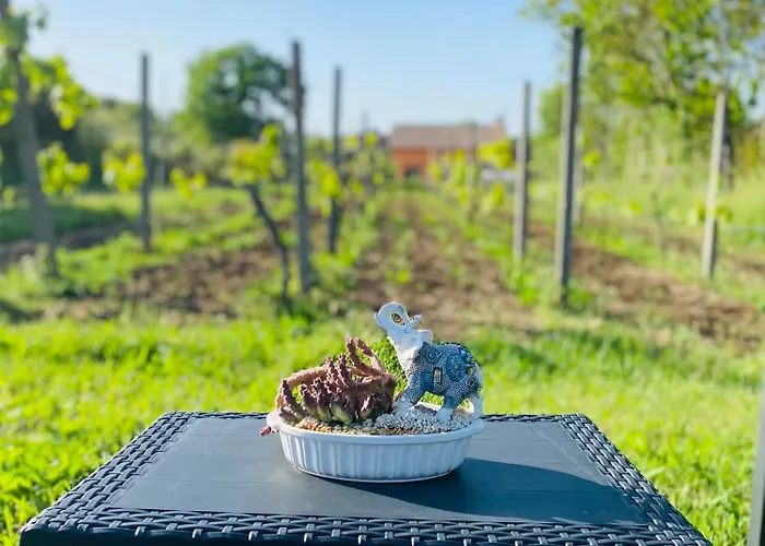 Bubu, Country-chic Semesterbostad *